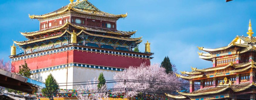 cn, zhongdian, the golden temple, shangri-la.jpg