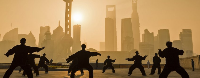 cn, shanghai, kung-fu met skyline.jpg