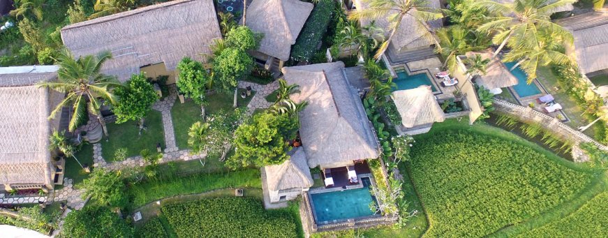 id-bali-ubud-wapa di ume (6).jpg