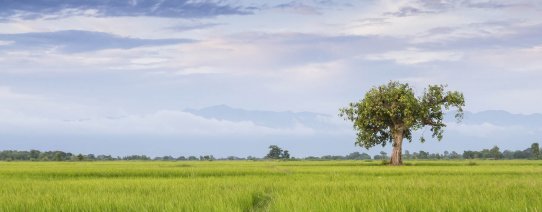 Chitwan National Park