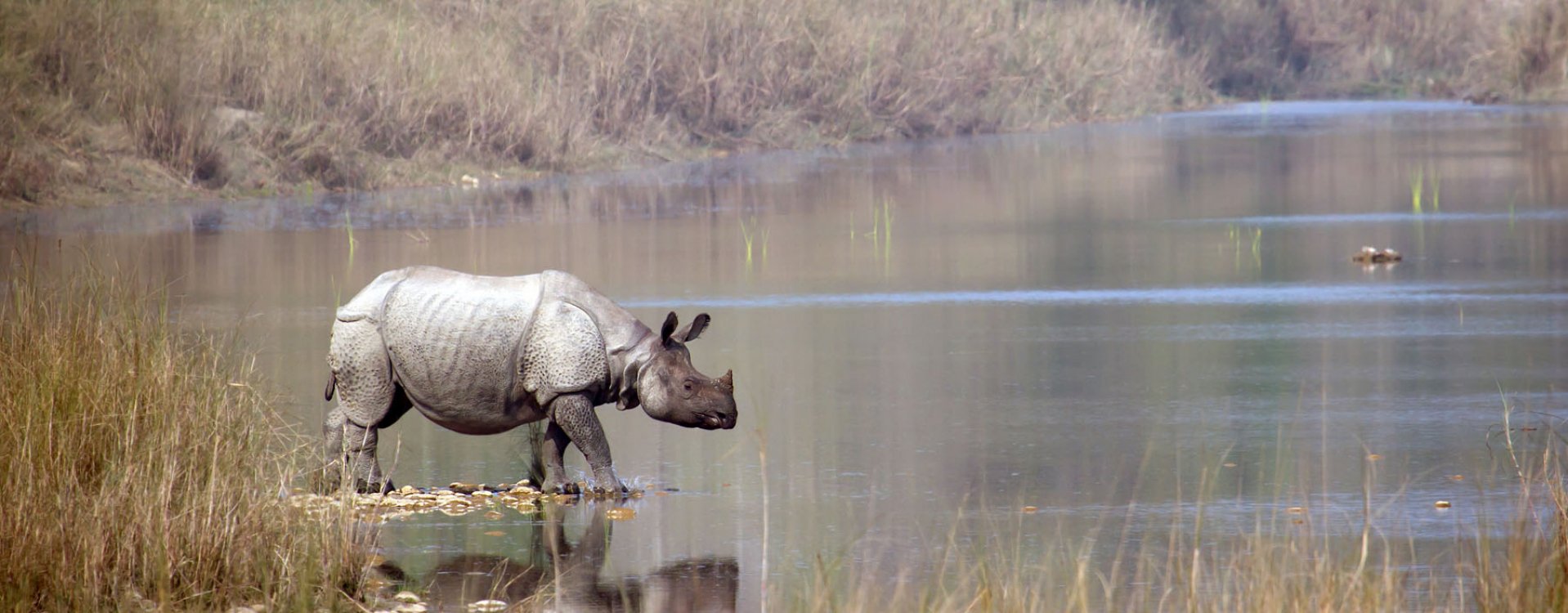 Kathmandu, Bodnath tempel
