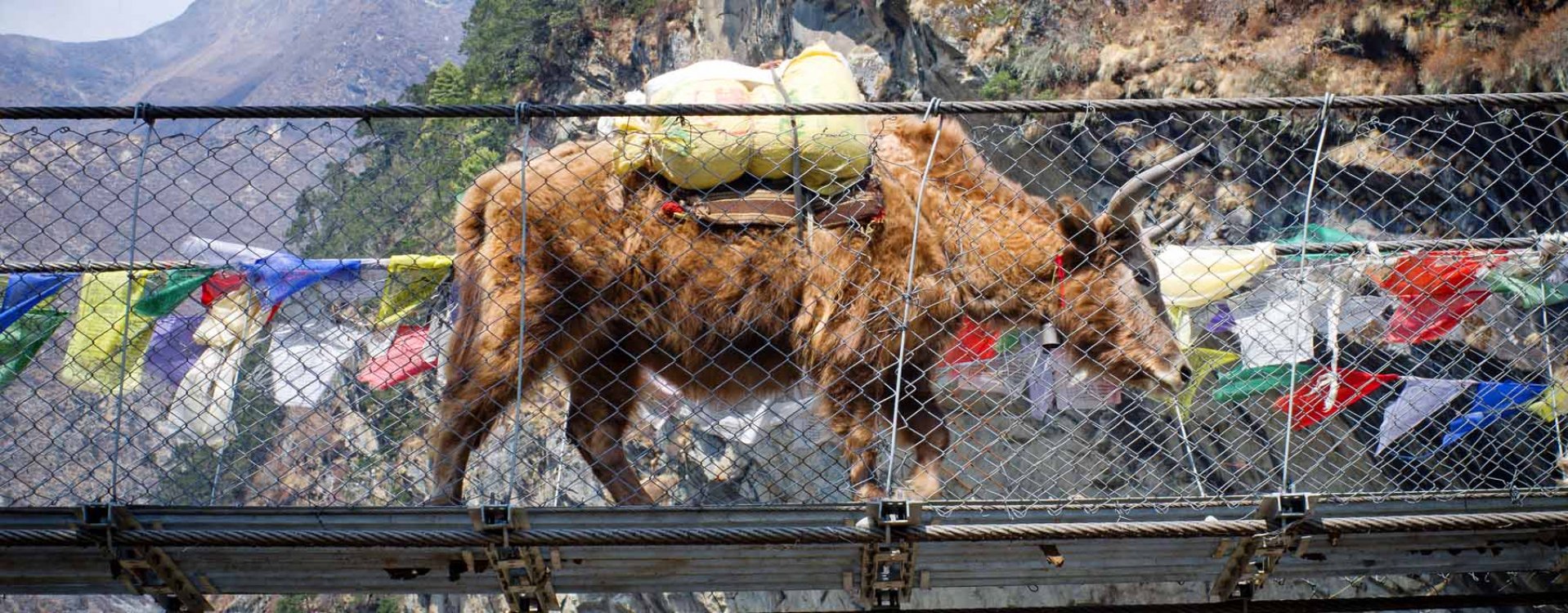 Kathmandu, Bodnath tempel