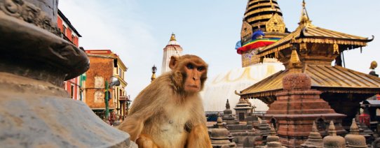 Kathmandu, Swayambunath tempel
