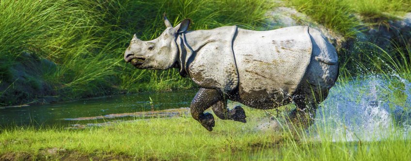np, chitwan np (13).jpg