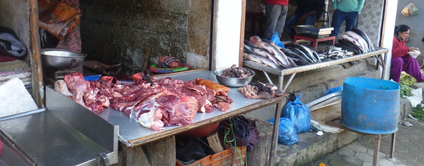np, kathmandu, straatbeeld (3).jpg