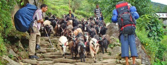 np, trekking, annapurna region (5).jpg