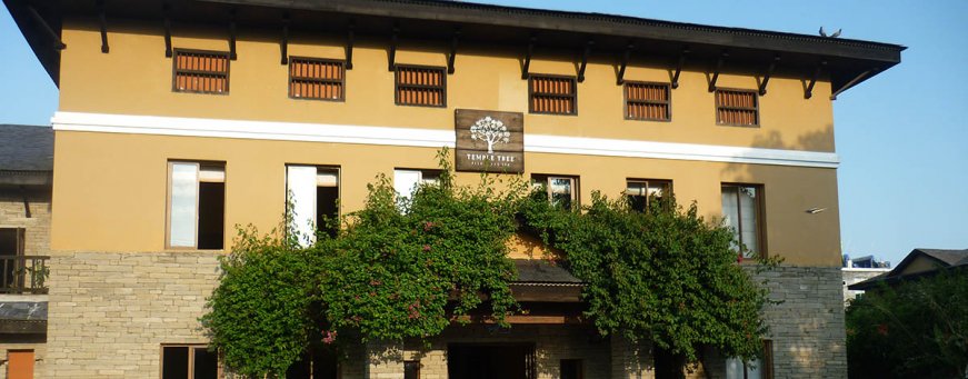 np_pkr_temple tree resort (1).jpg