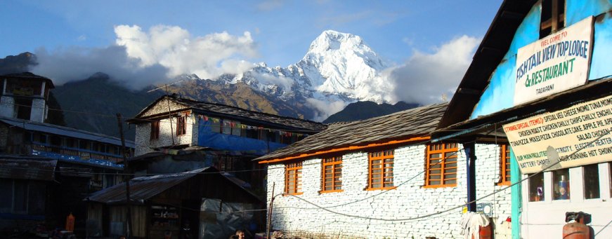 np, teahouse  (1).jpg