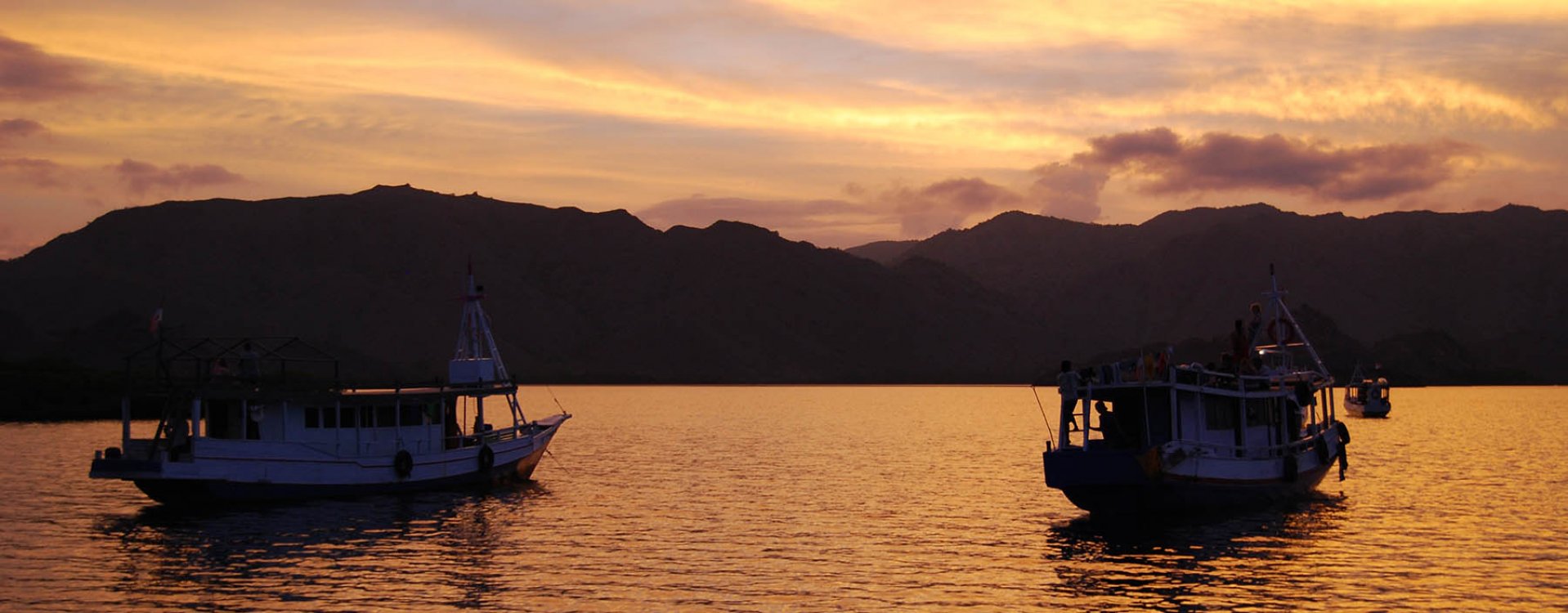 Orang-oetans, Sumatra