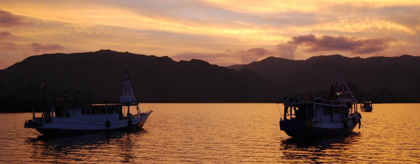 id, flores, boot naar komodo (5).jpg