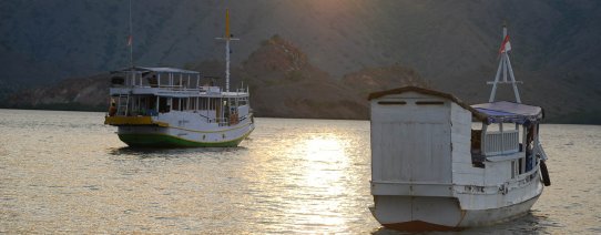 Boot naar Komodo National Park