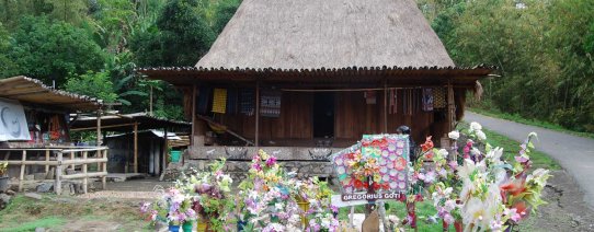 id-flores-bena en ngada dorpen (8).jpg