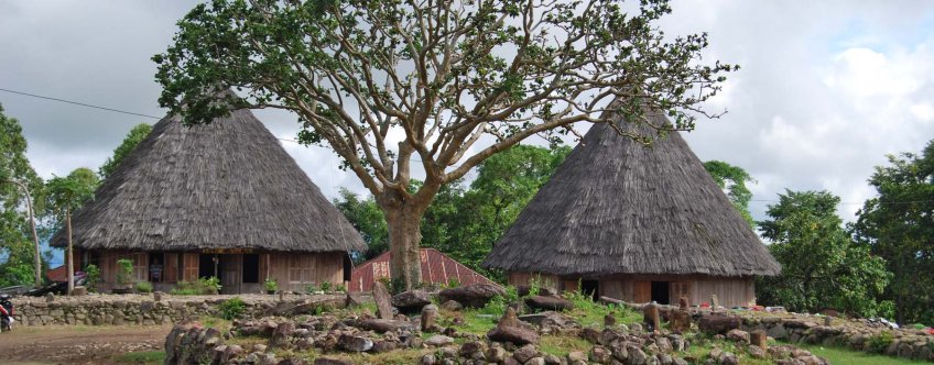 id, flores, pu'u (9).jpg