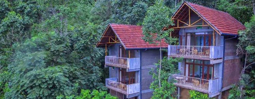 LK, Ella, Serenite Ella