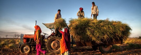IN, algemeen, boerenfamilie aan het werk (2).jpg