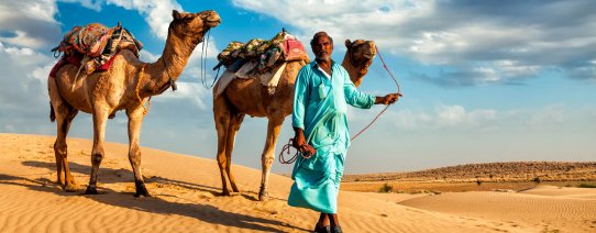 IN, algemeen, man met kamelen.jpg