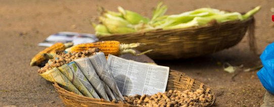 IN, algemeen, street food.jpg