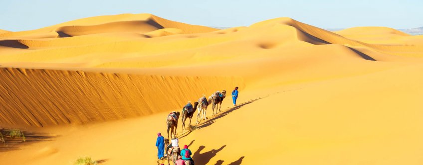 in, algemeen, bedouins and camels in sand dunes in desert.jpg