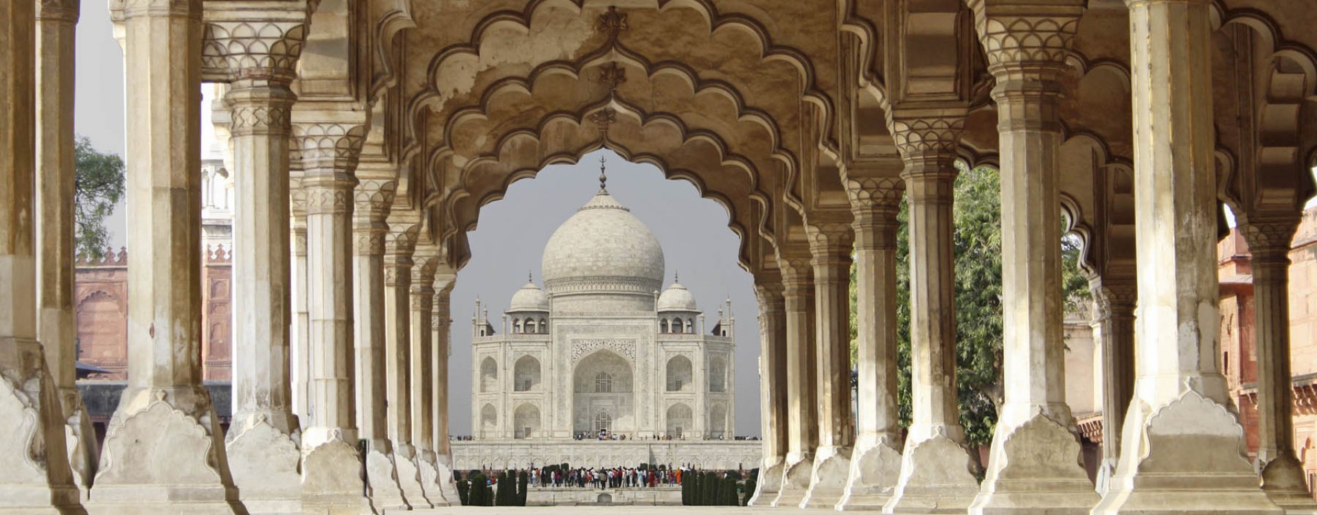 Ossenkar in Delhi