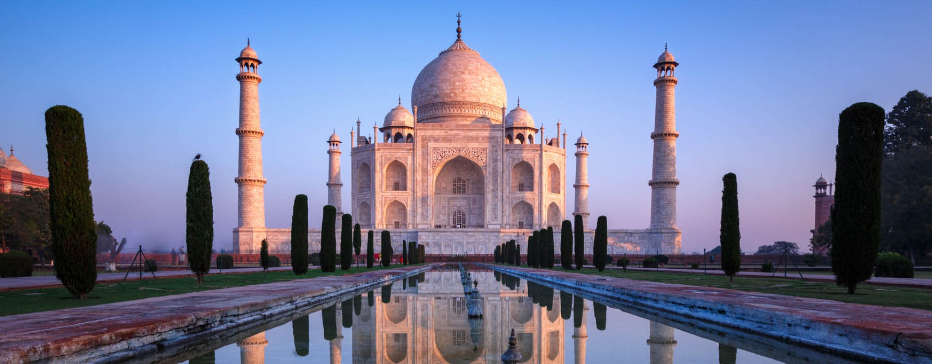 Straatbeeld in Delhi