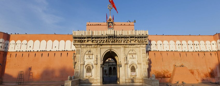 in, bikaner, the rat temple, deshnoke.jpg