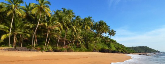 in, goa, strand.jpg