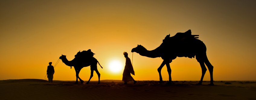 in, jaisalmer, kamelen.jpg