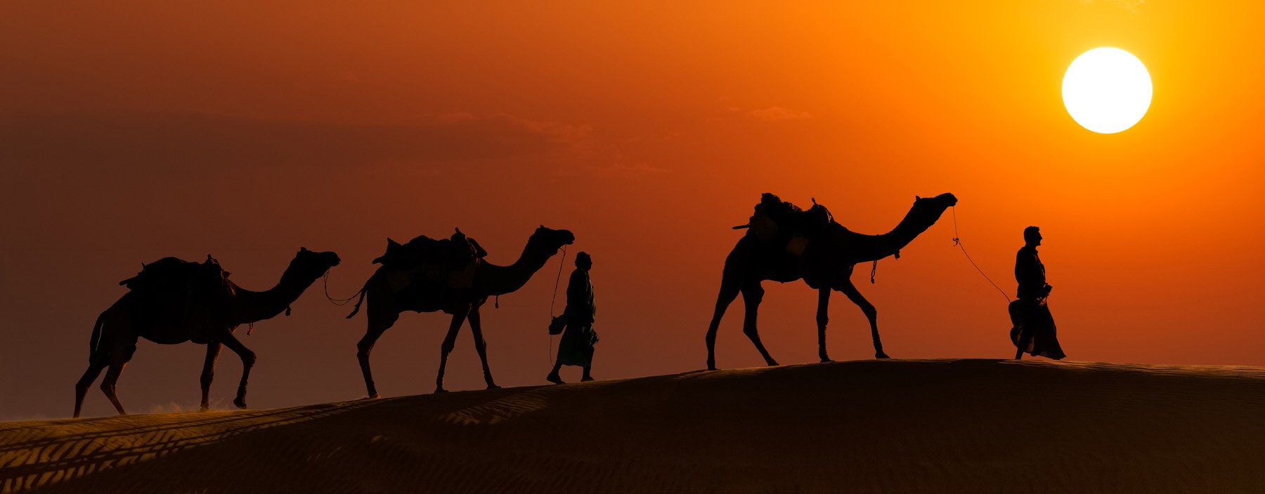 in, algemeen, kamelensafari (2).jpg