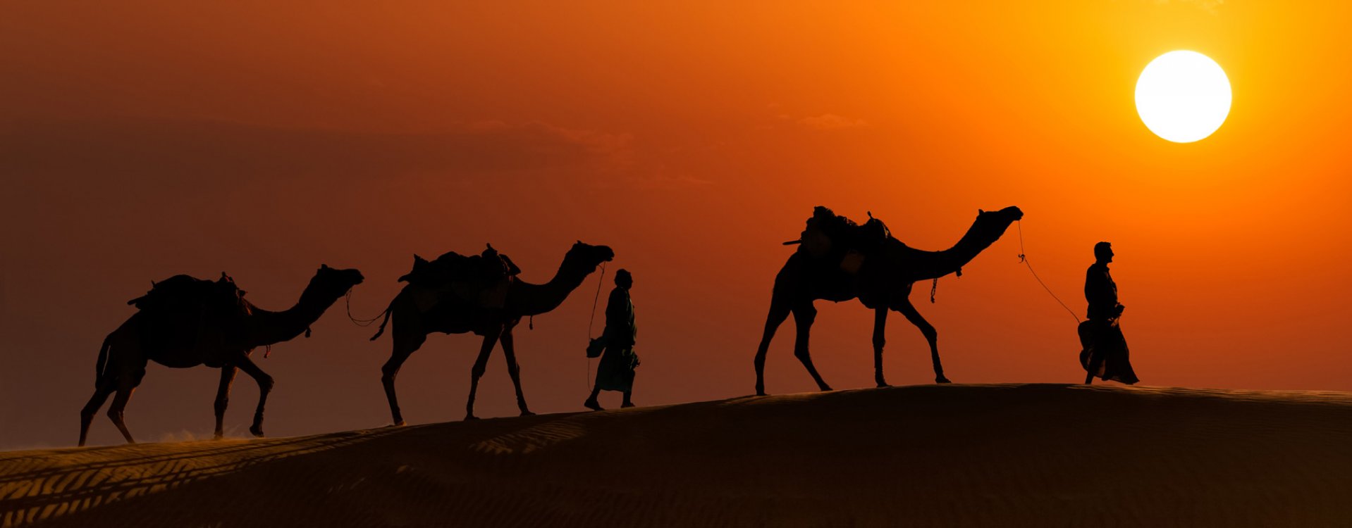 Straatbeeld in Delhi