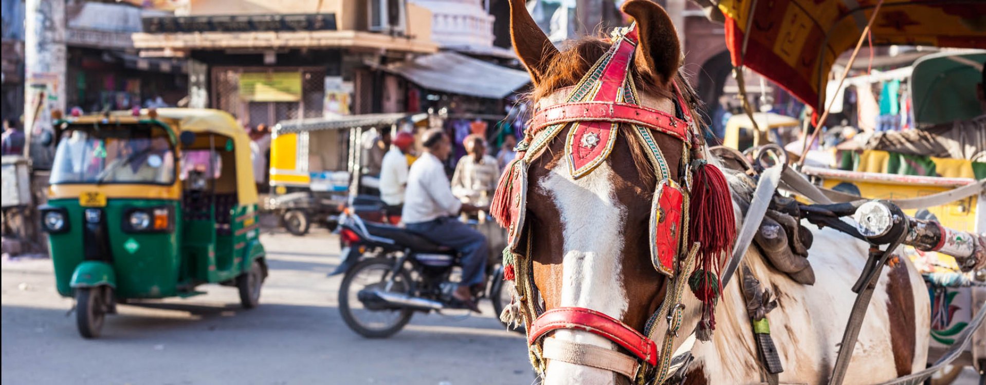 Straatbeeld in Delhi