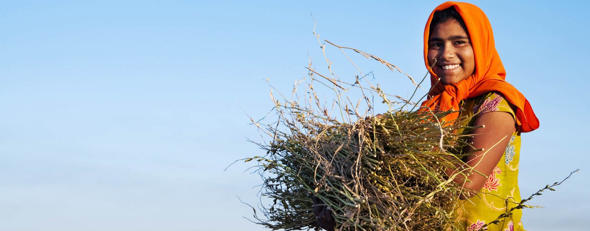 Tijger in Ranthambore NP