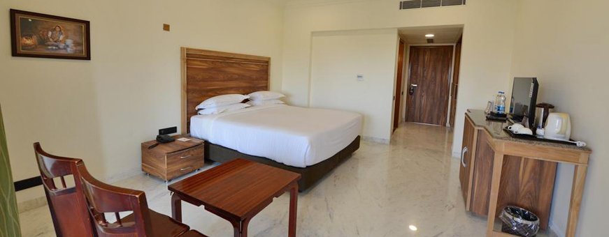 in, bikaner, maharaja ganga mahal (5).jpg