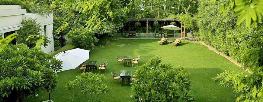 the manor, delhi, tuin.jpg