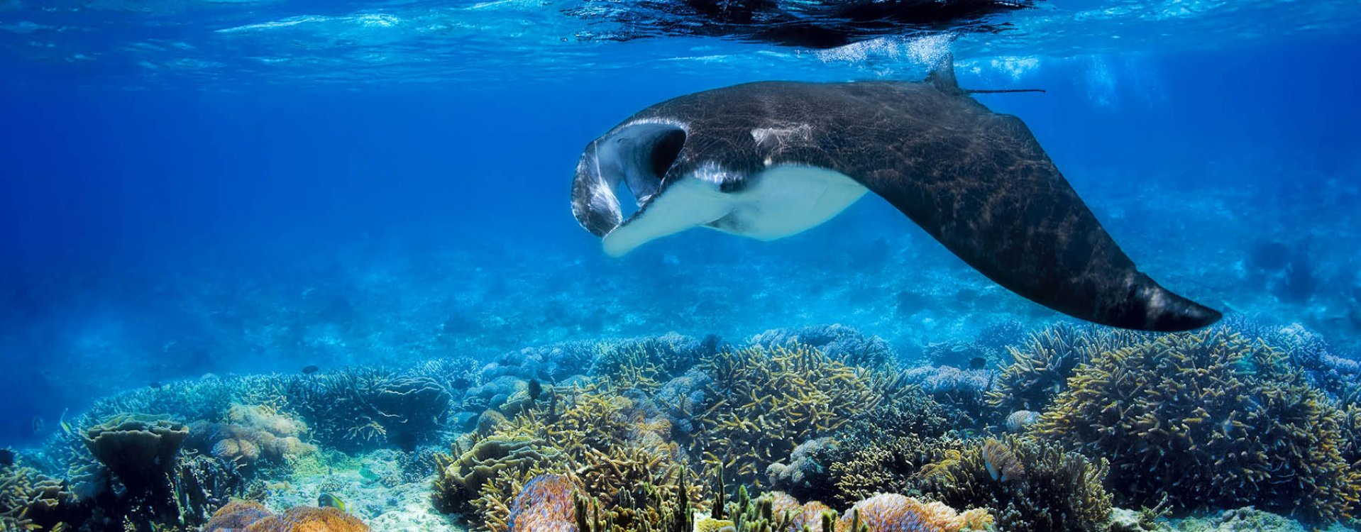 Hindoe tempel op Bali