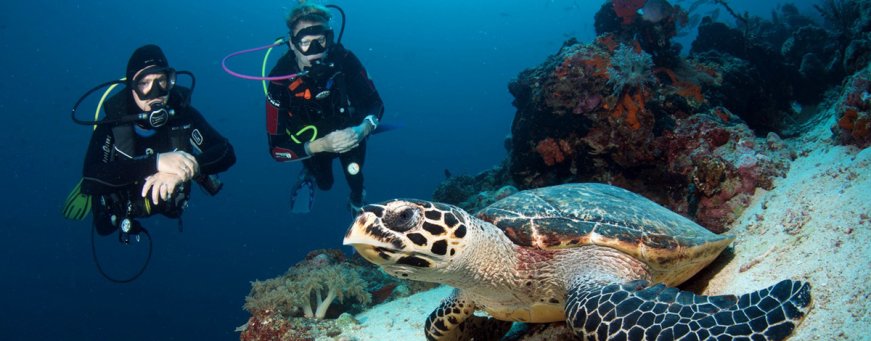 id, nusa lembongan, hai tide beach resort(4).jpg