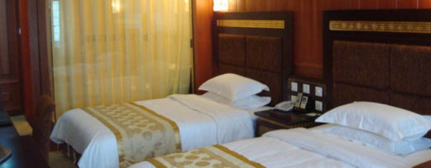 tibet, lhasa, yak, room!.jpg