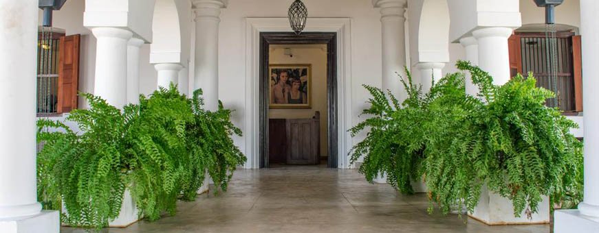 LK, Jaffna, Fox Jaffna