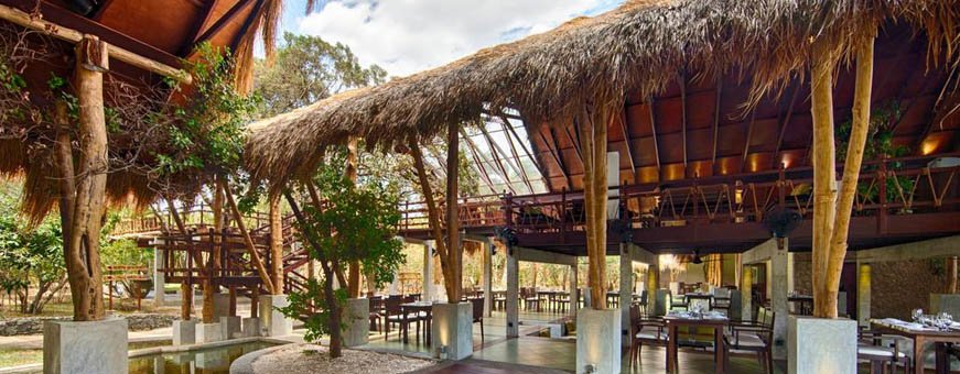 lk, trincomalee, jungle beach resort (2).jpg