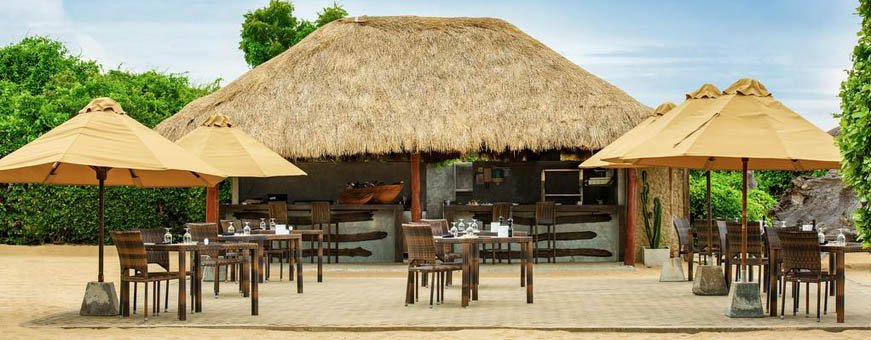 lk, trincomalee, jungle beach resort (5).jpg
