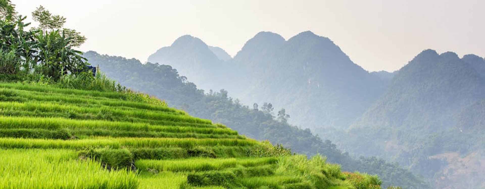 Tam Coc karstgebergte, Ninh Binh