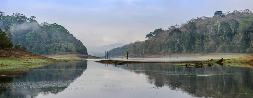 in, periyar np, rivier.jpg