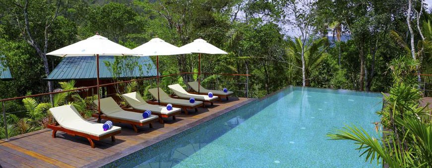 in, periyar thekkady, niraamaya retreats cardamom club, zwembad1.jpg