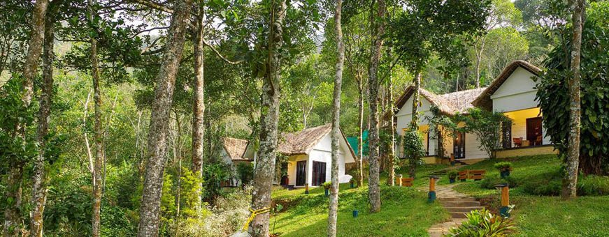 in, periyar thekkady, niraamaya retreats cardamom club.jpg