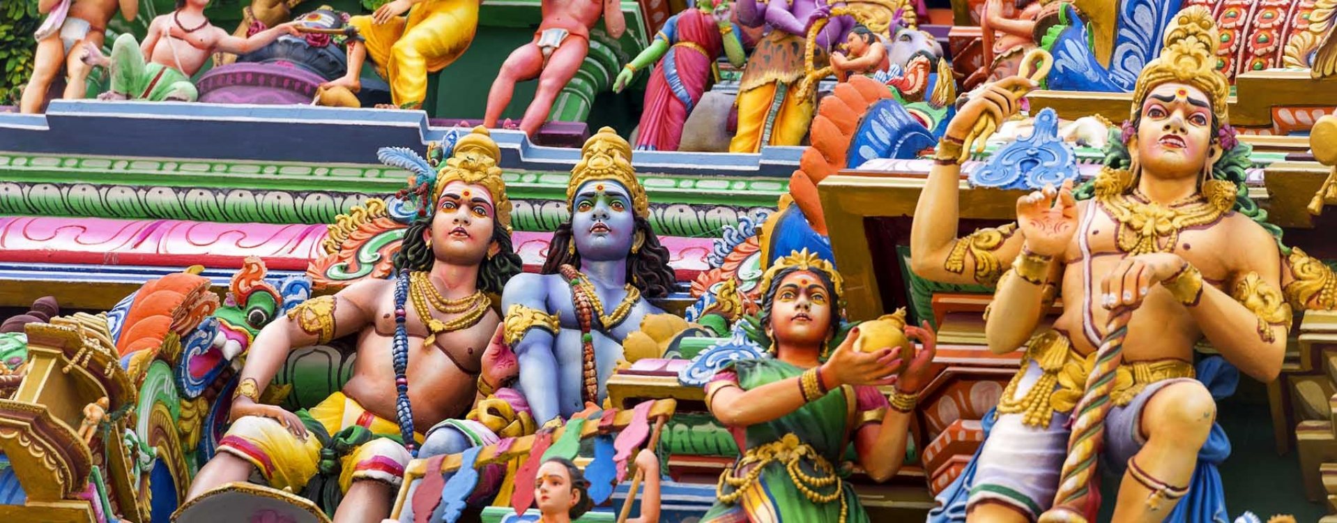 Ossenkar in Delhi