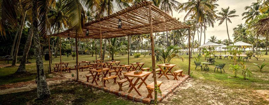 in, marari, marari beach resort (14).jpg