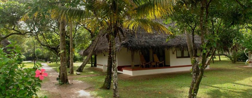 in, marari, marari beach resort (1)1.jpg