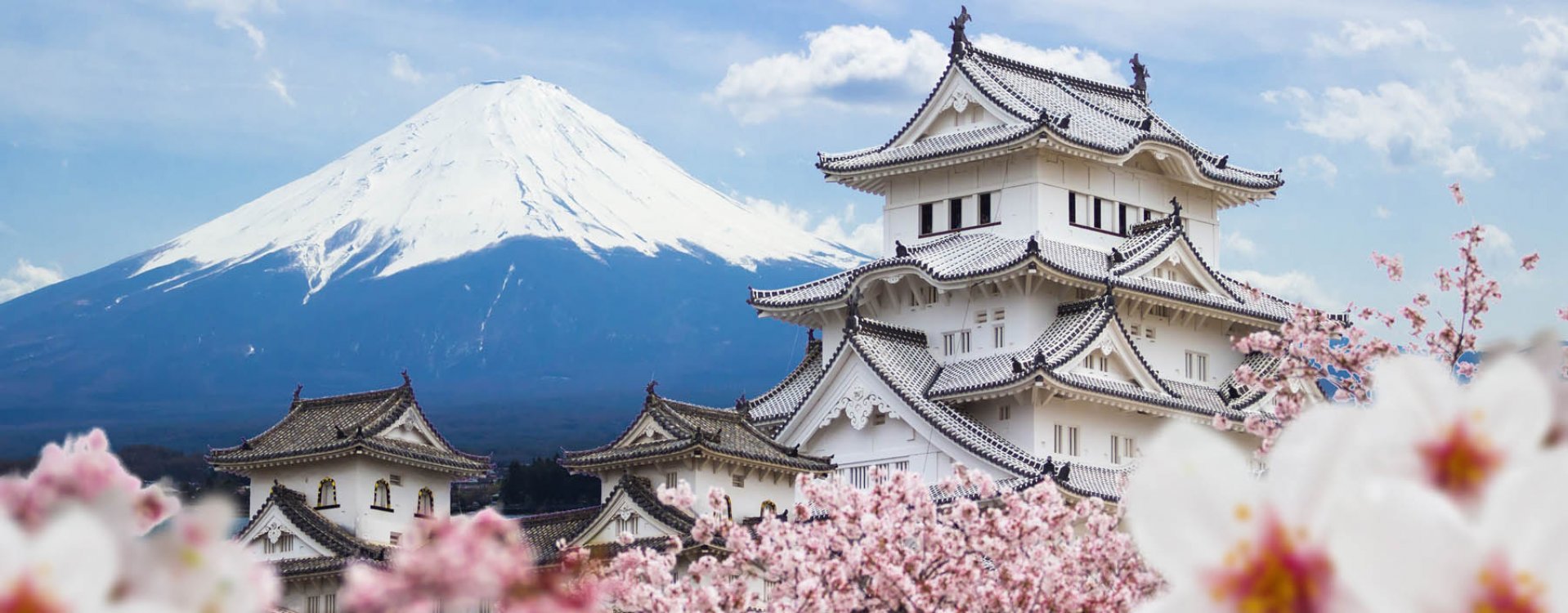 Rainbow bridge & Tokyo Tower
