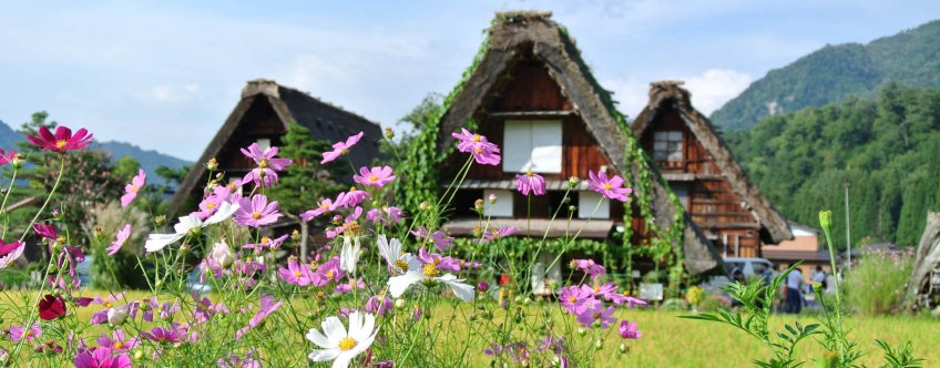 jp, shirakawa, historisch dorp.jpg