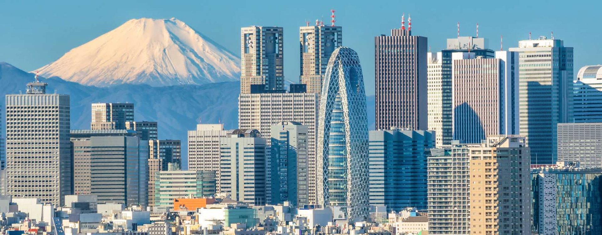 Tokyo met Mount Fuji