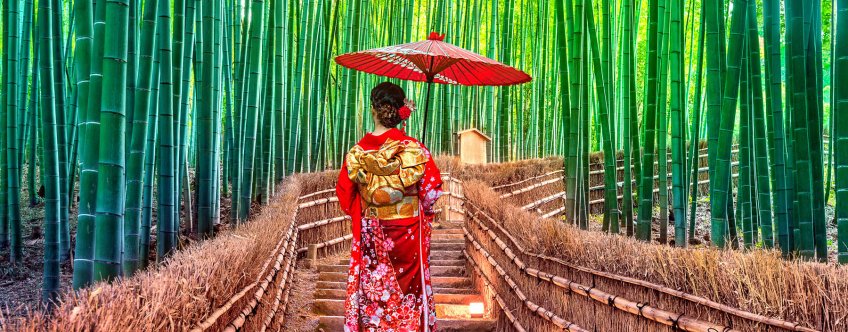 jp, kyoto, bamboe tuin.jpg